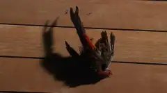 Остаться в Живых 1 сезон 14 серия